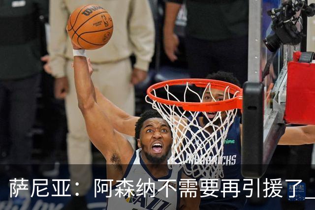萨尼亚：阿森纳不需要再引援了 赛季最佳球员我选廷伯